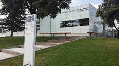 Complicaciones Vasculares y Hemorrágicas en Cirugía Ginecológica