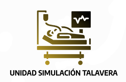 Unidad de Simulación - GAI de Talavera de la Reina
