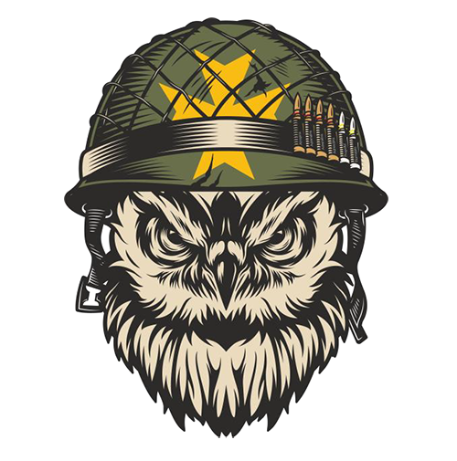 Fundamentos de la Simulación en la docencia de Ciencias de la Salud en el entorno operativo